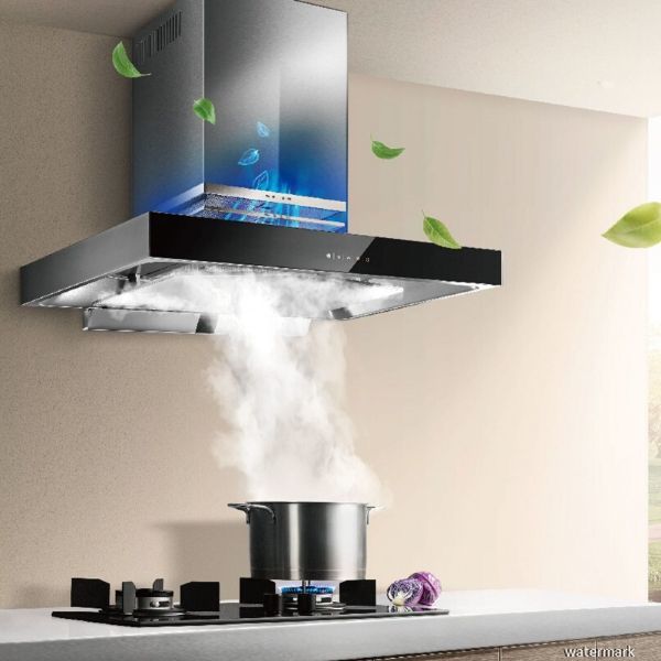 Malaysia Kitchen Hood Specialized